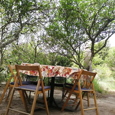 Chalet Montana Teno Alto *
